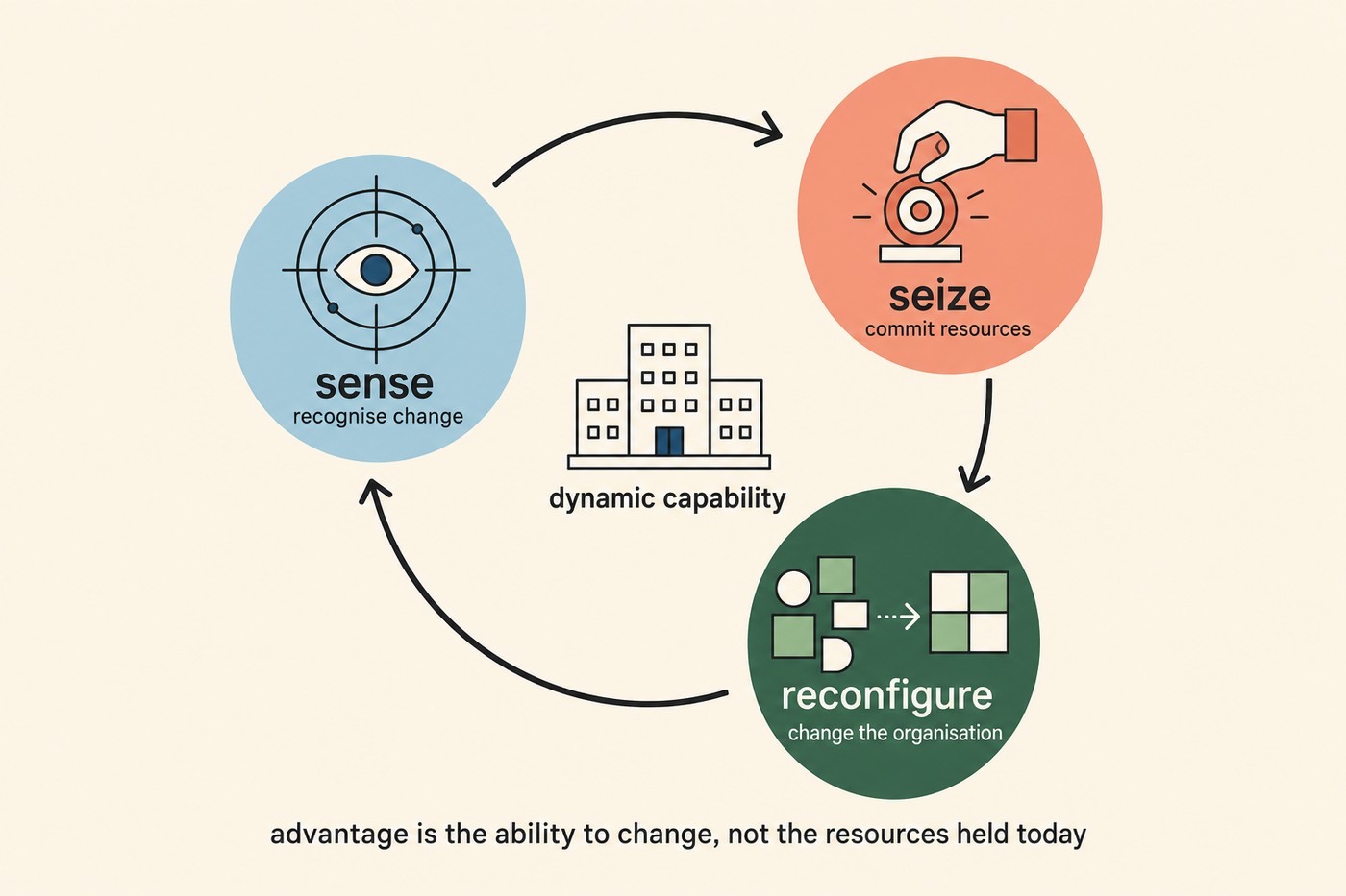 Three coloured circles arranged in a loop with arrows connecting them: sky-blue 'sense, recognise change' at top-left, coral 'seize, commit resources' at top-right, forest 'reconfigure, change the organisation' at the bottom. A small firm icon labelled 'dynamic capability' sits at the centre. Caption beneath: advantage is the ability to change, not the resources held today.