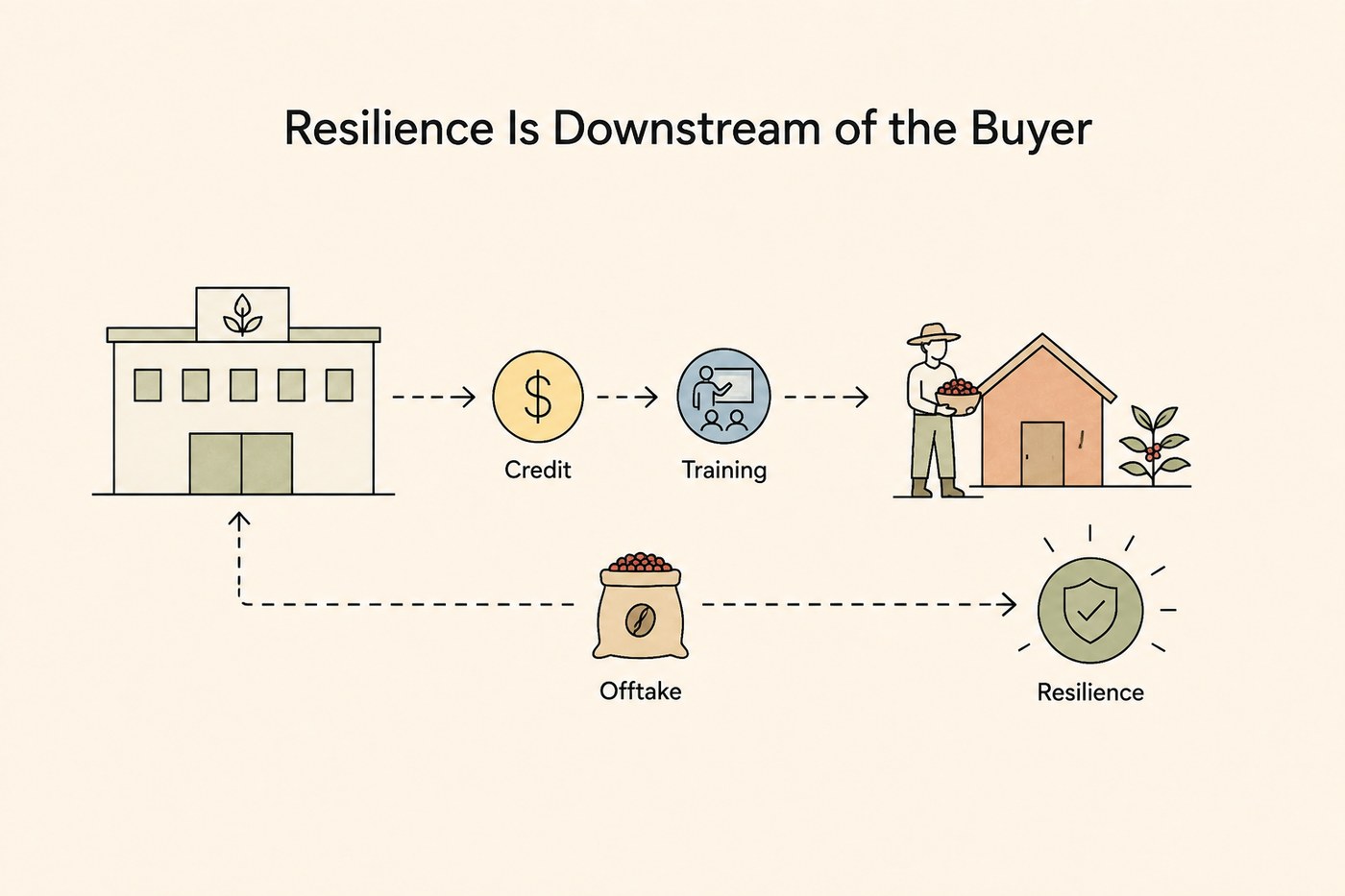 Trader building on the left, dashed chain through Credit, Training and Offtake icons, to a smallholder with coffee harvest on the right, and a Resilience shield at the end.