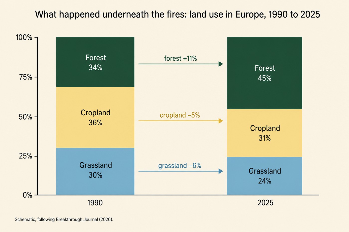 Two side-by-side vertical stacked bars, each 100 per cent tall, labelled 1990 and 2025. Segments in each bar: forest in dark green, cropland in butter yellow, grassland in sky blue. In 1990 the shares are forest 34 per cent, cropland 36 per cent, grassland 30 per cent; in 2025 the shares are forest 45 per cent, cropland 31 per cent, grassland 24 per cent. Coloured horizontal arrows between the two bars annotate the per-segment change: forest plus 11 per cent, cropland minus 5 per cent, grassland minus 6 per cent.