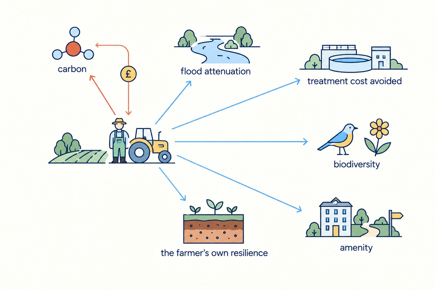 Diagram: a farmer and a tractor at the centre left, on a ground line. Six arrows fan out to icons in thin serif labels: a carbon molecule labelled 'carbon' in coral, a river with reduced flow labelled 'flood attenuation' in sky blue, a water treatment works labelled 'treatment cost avoided' in sky blue, a bird and flower labelled 'biodiversity' in sky blue, a soil profile with seedlings labelled 'the farmer's own resilience' in sky blue, and a small hotel or footpath sign labelled 'amenity' in sky blue. Only the carbon arrow, drawn in coral, has a return line curving back to the farmer with a small coin along it. The other five arrows carry no return.
