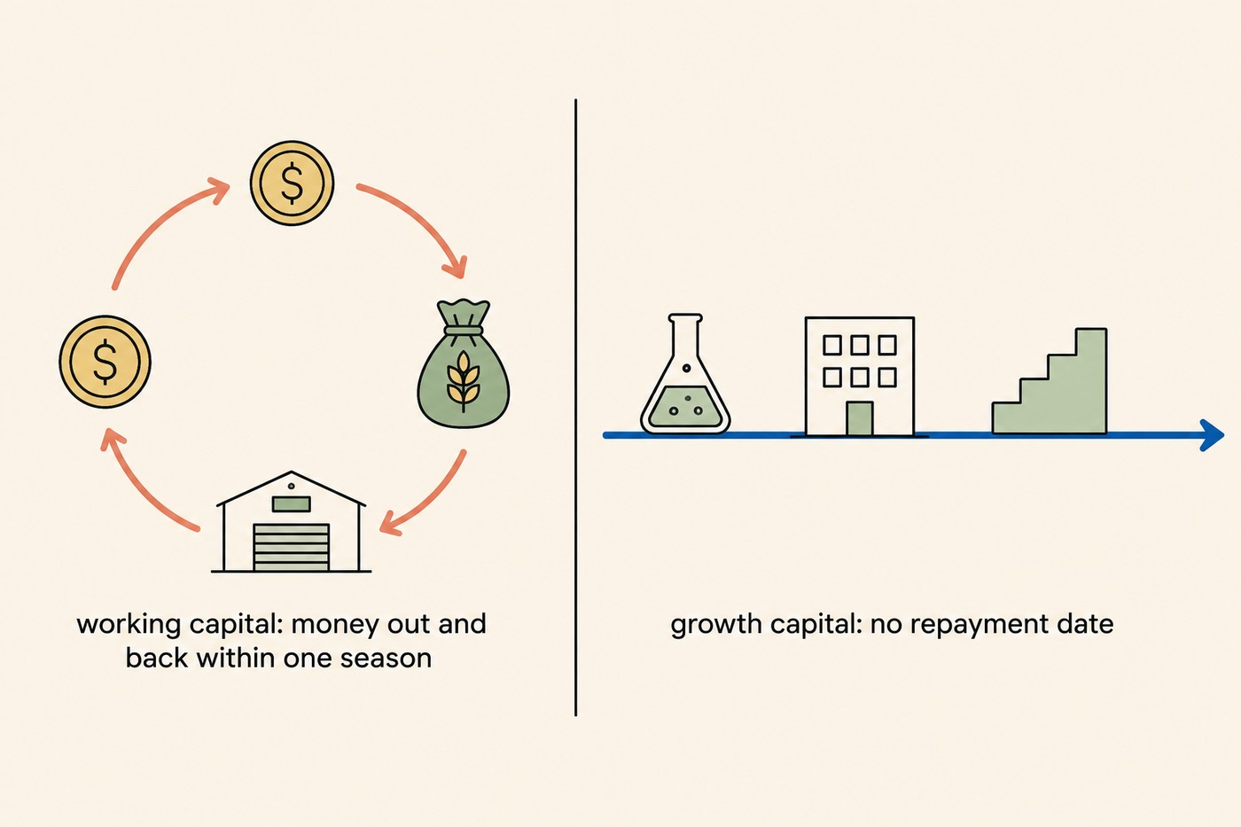 Split diagram. Left panel: coin, grain sack and warehouse arranged in a coral loop, labelled beneath 'working capital: money out and back within one season'. Right panel: a lab flask, an office building and a set of ascending steps arranged along a cobalt arrow pointing to the right, labelled beneath 'growth capital: no repayment date'.